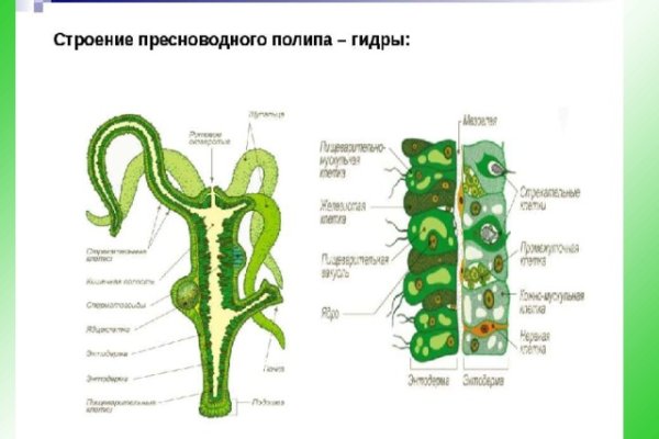 Кракен наркомагазин